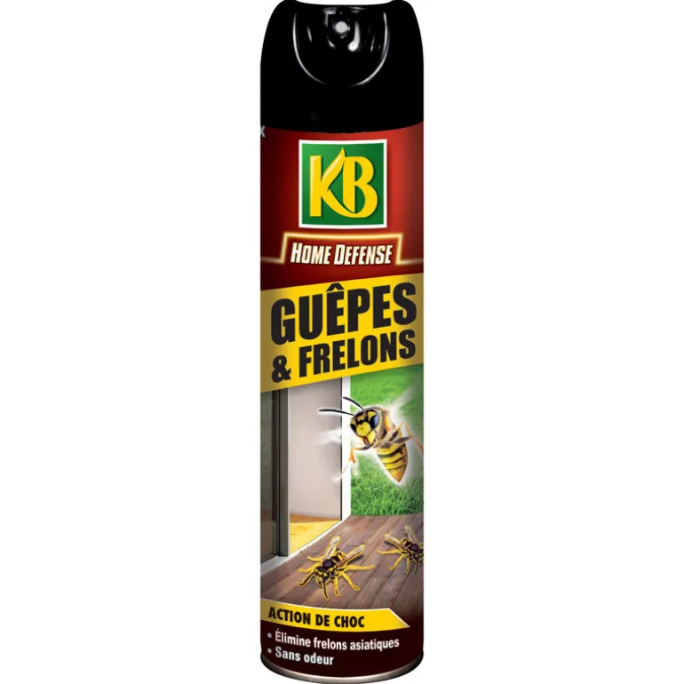 Aerosol guepes et frelons 400ml