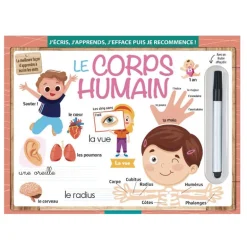 Ardoise magique : le corps humai