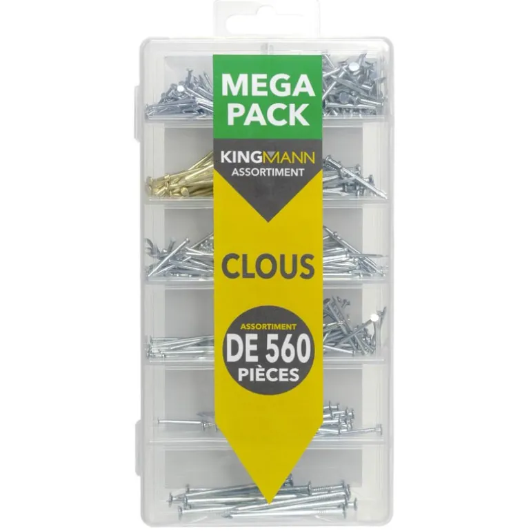 Assortiment de 560 clous