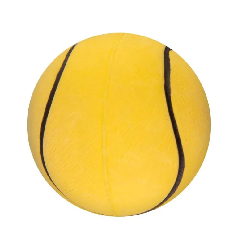 Balle de sport pour chien