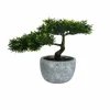 Bonsai pot beton