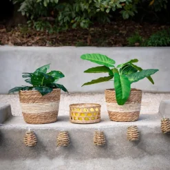 Bougie citronnelle pot en verre