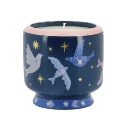 Bougie signe astro janvier-juin