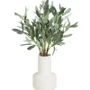 Bouquet olivier dans vase