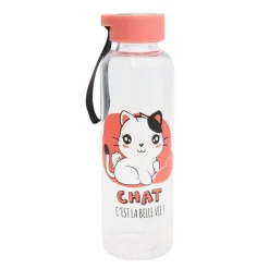 Bouteille plastique 50 cl kawaii