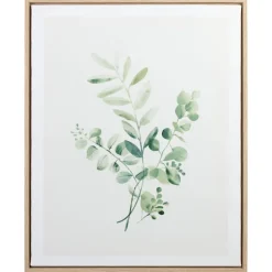 Cadre image eucalyptus