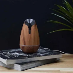 Diffuseur d'ambiance