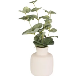 Eucalyptus dans vase