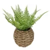 Fougere artificielle pot tresse