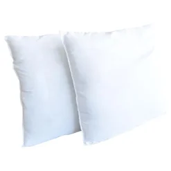 Lot 2 oreillers anti-transpirati