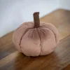 Mini citrouille tissu