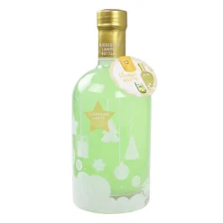 Mix coktail bouteille lumineuse
