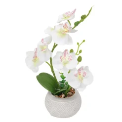 Orchidee artificielle