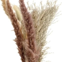 Pampas vase avec anse