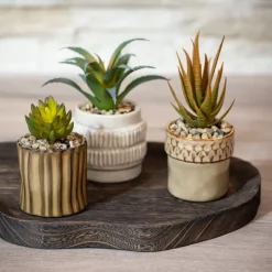 Petite plante ceramique