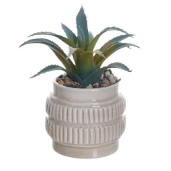 Petite plante ceramique