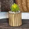 Petite plante ceramique