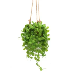 Plante artificielle a suspendre