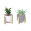 Plante grasse artificiel pot