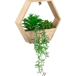 Plante suspendu hexagonale