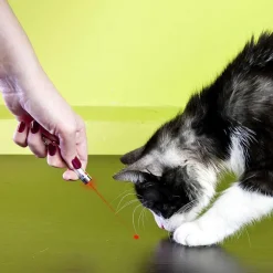 Porte cles lampe torche + laser