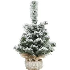 Sapin petit enneige imperial ave