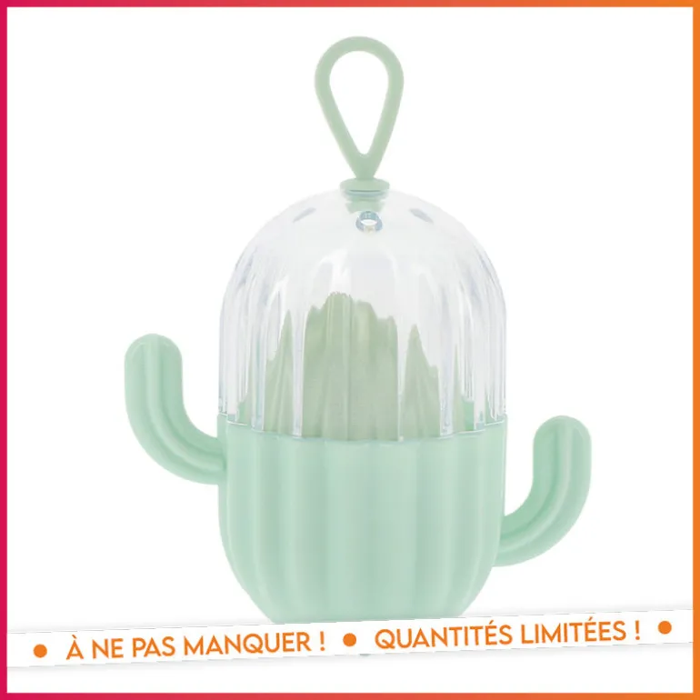 Set eponge et boite cactus