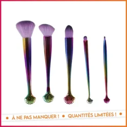Set pinceaux coquillage 5pcs