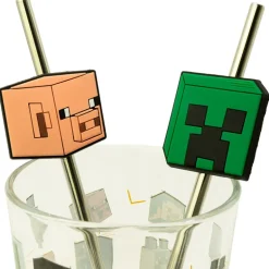 Set verre + 2 pailles minecraft