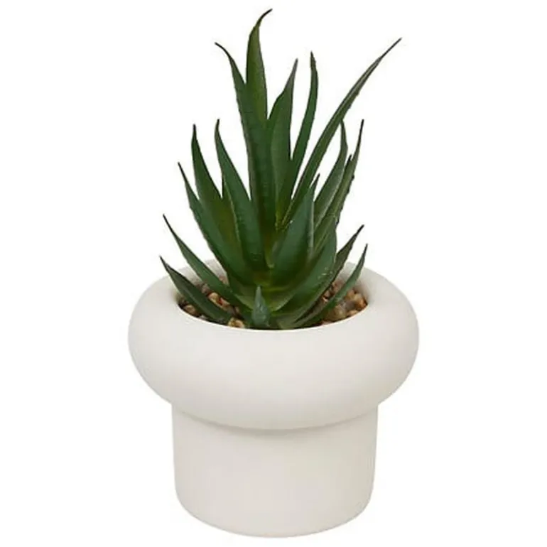 Succulente pot beton