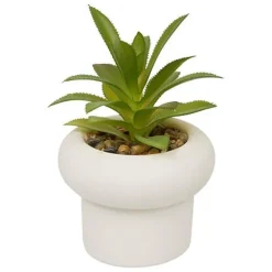 Succulente pot beton