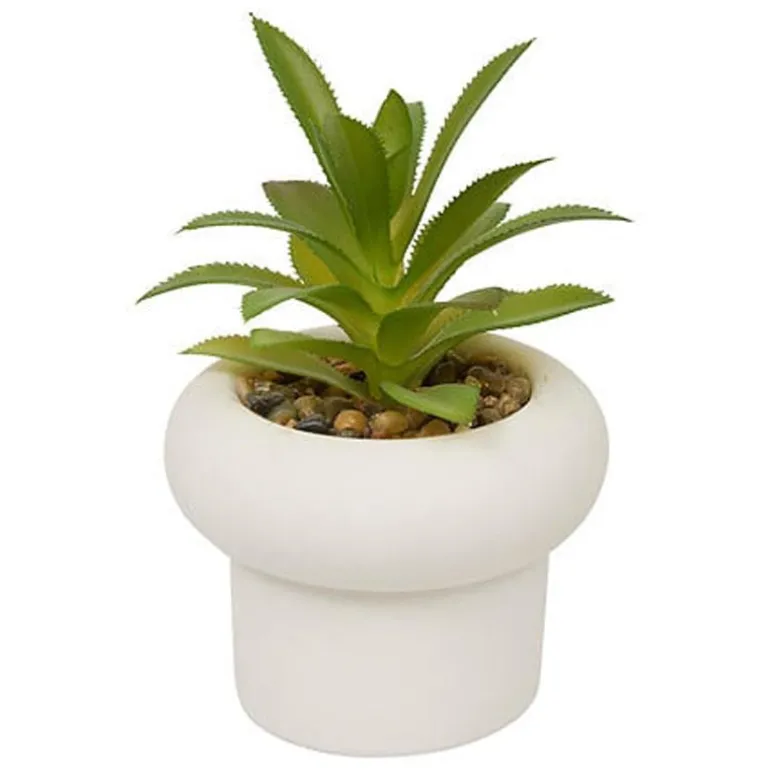 Succulente pot beton