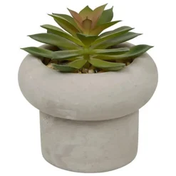 Succulente pot beton