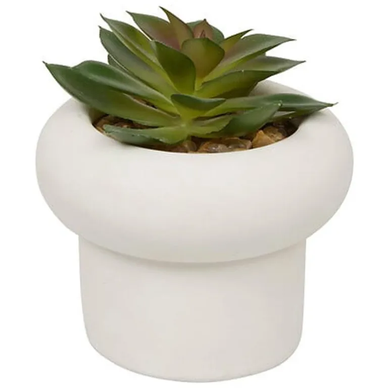 Succulente pot beton