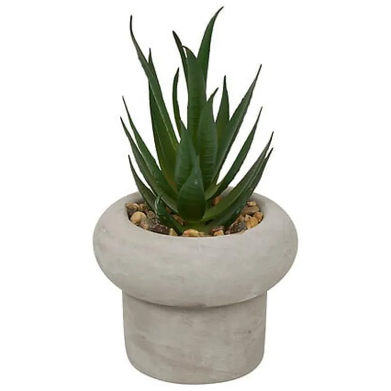 Succulente pot beton