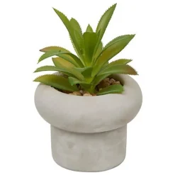 Succulente pot beton