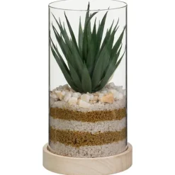 Succulente pot verre & bois