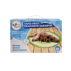 Tapis chien rafraichissant fruit