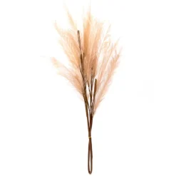 Tige pampa artificielle beige